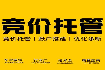 SEM代理服务：案例对比，效果哪家更胜一筹